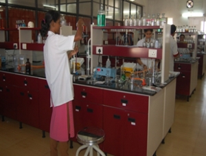 MscChem1