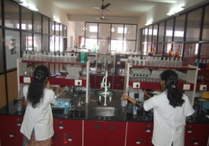 MscChem2
